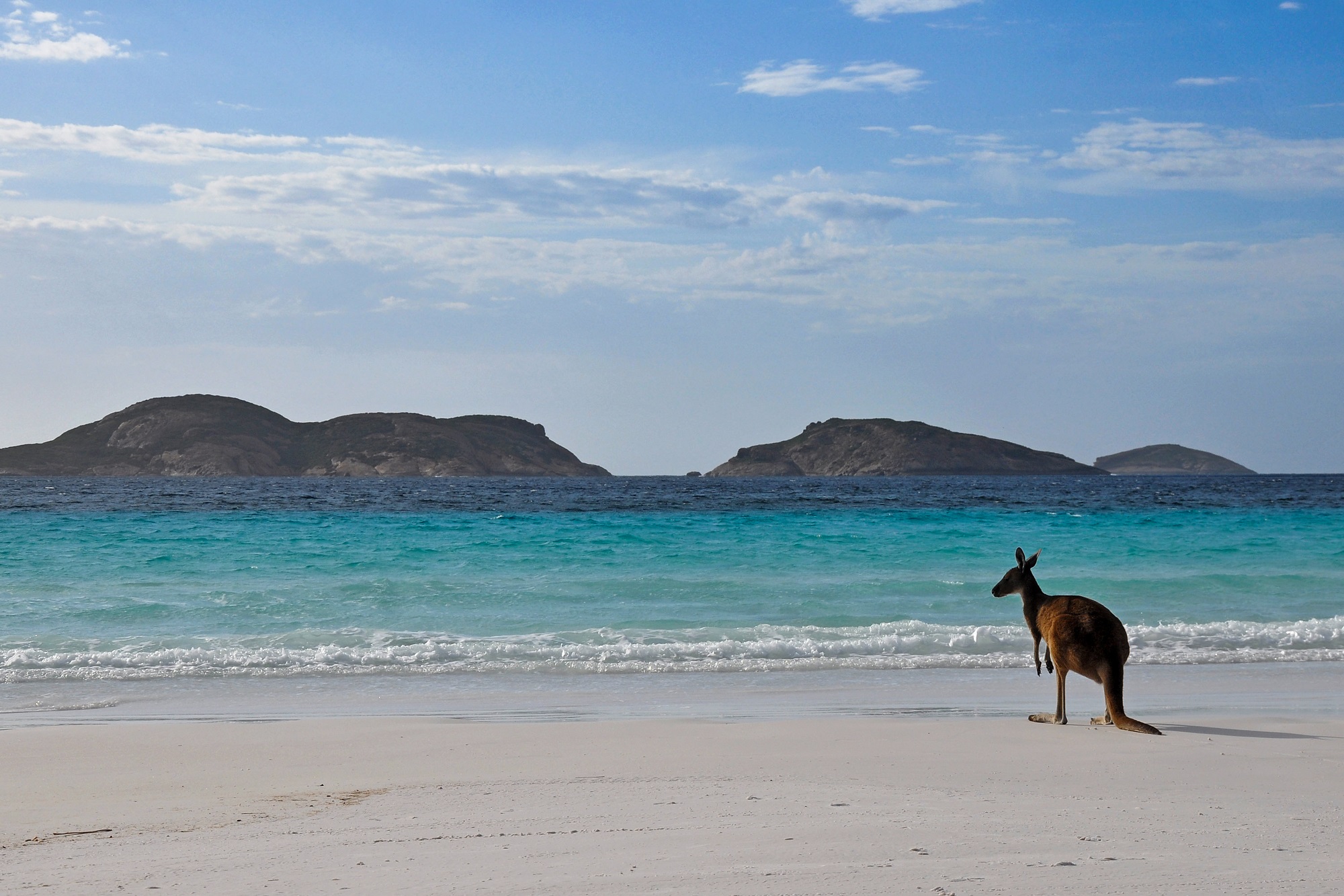 Kangaroo Island : Trois Jours Sur L'île Nature De L'Australie Du Sud